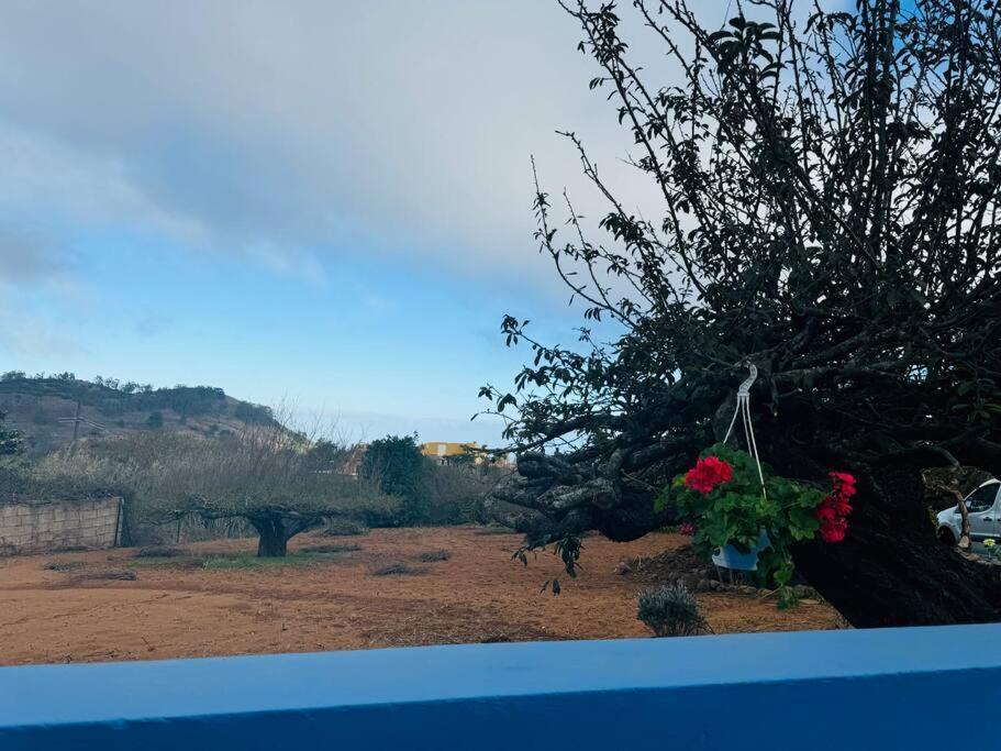 La Casita De Rosi Villa La Esperanza  Eksteriør billede